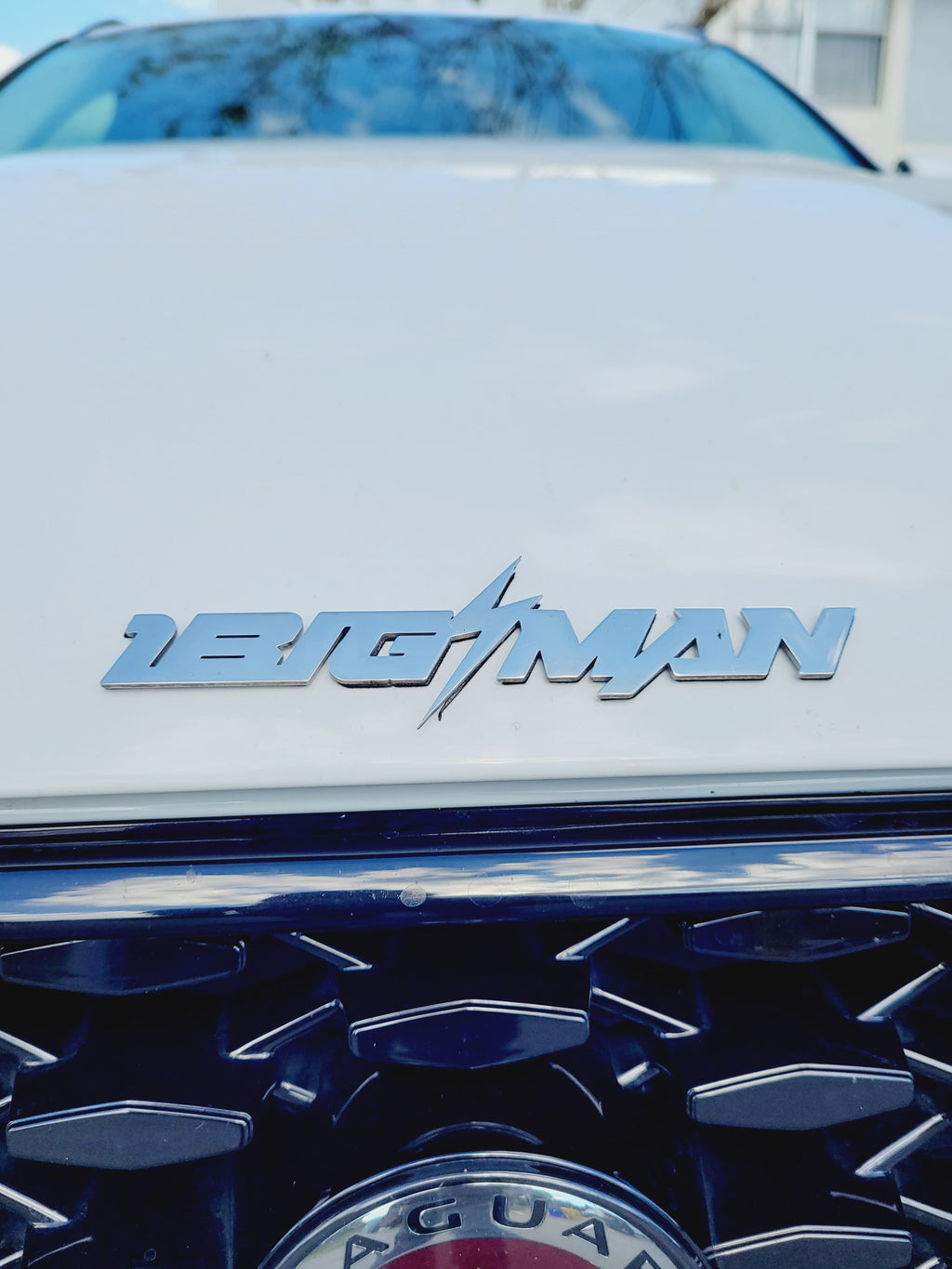 Stainless Car Emblem